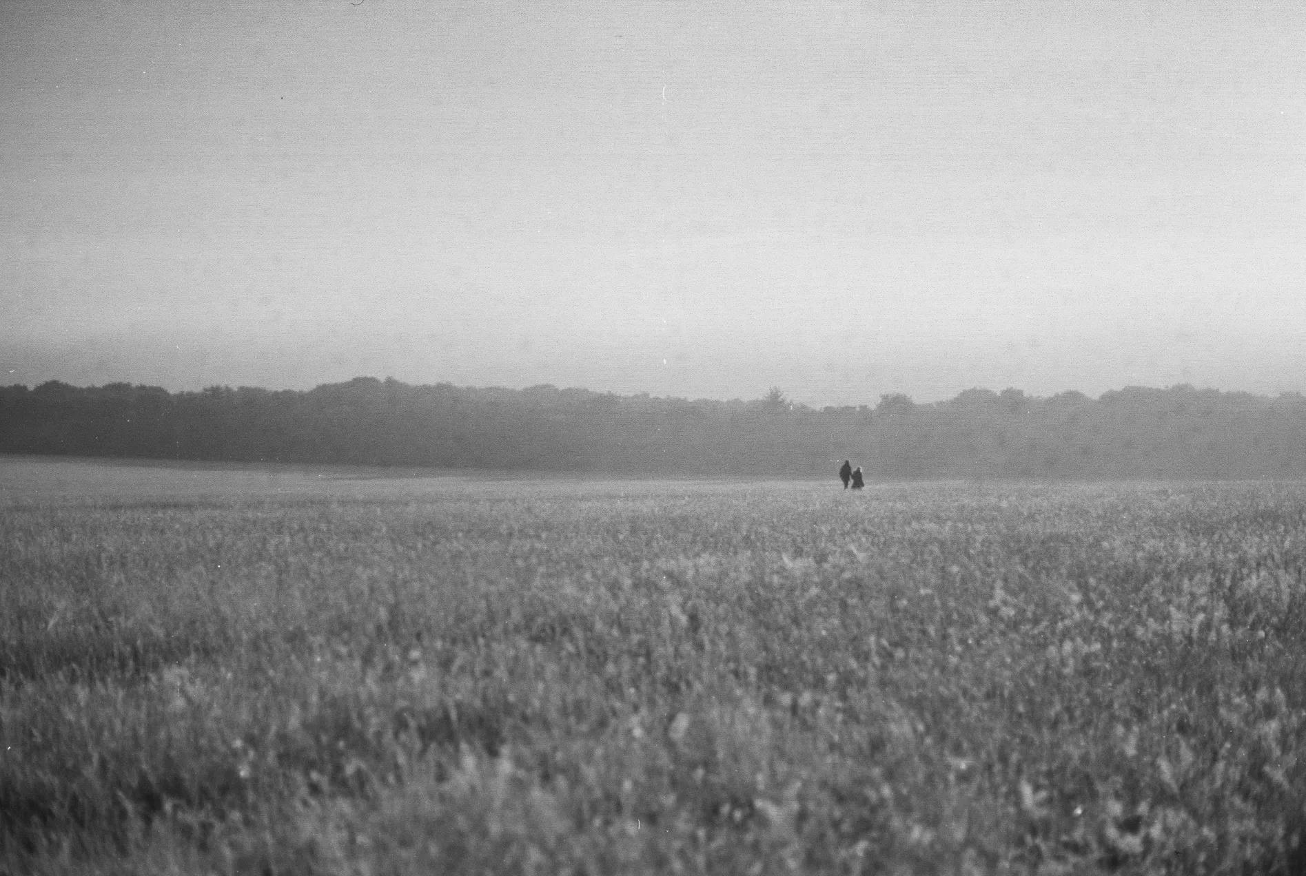 a distant couple in a field